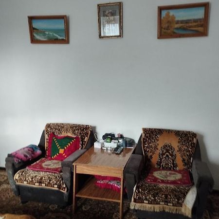 Guest House Sono Adress Derbisheva 202 カラコル エクステリア 写真