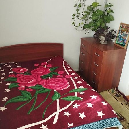 Guest House Sono Adress Derbisheva 202 カラコル エクステリア 写真